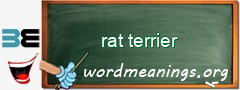WordMeaning blackboard for rat terrier